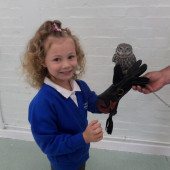 Year 1's Woodland Topic - Owl Visitor